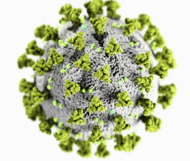 Corona Virus (Artistic Image)